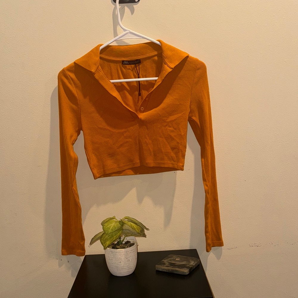 Zara Vibrant Orange Long Sleeve Crop Top